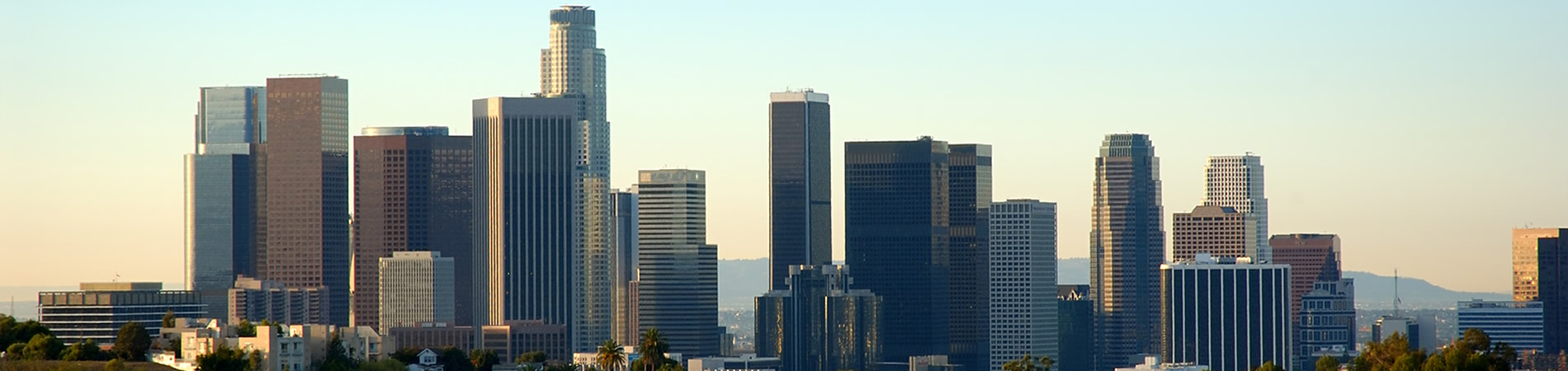 view of Los Angeles downtown